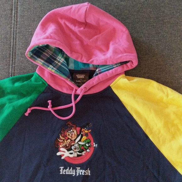 NWOT Teddy Fresh Looney Tunes Colorblocked Hoodie - Picture 2 of 10